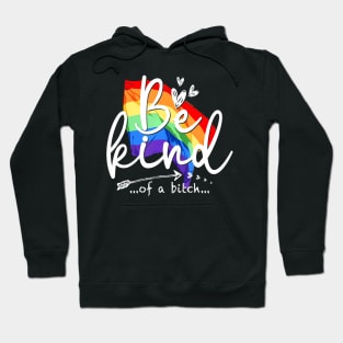 LGBTQ LGBT  Flag Support LGBT Hoodie